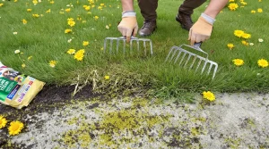 Printemps : cette zone verte du jardin que vous abîmez avec l’engrais sans le savoir (4 gestes)